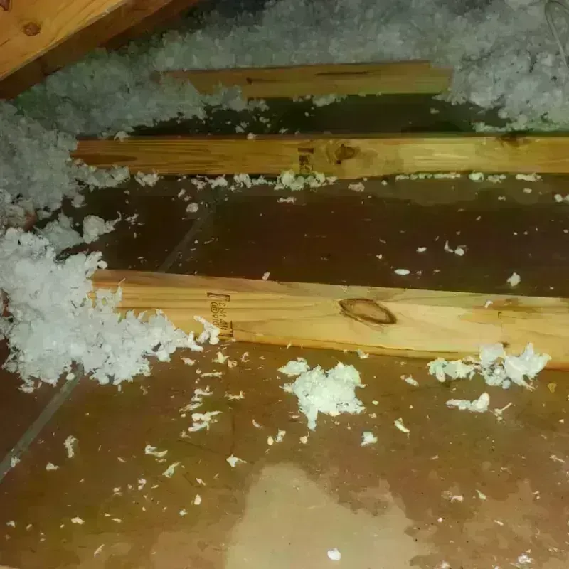 Attic Water Damage in Millinocket, ME